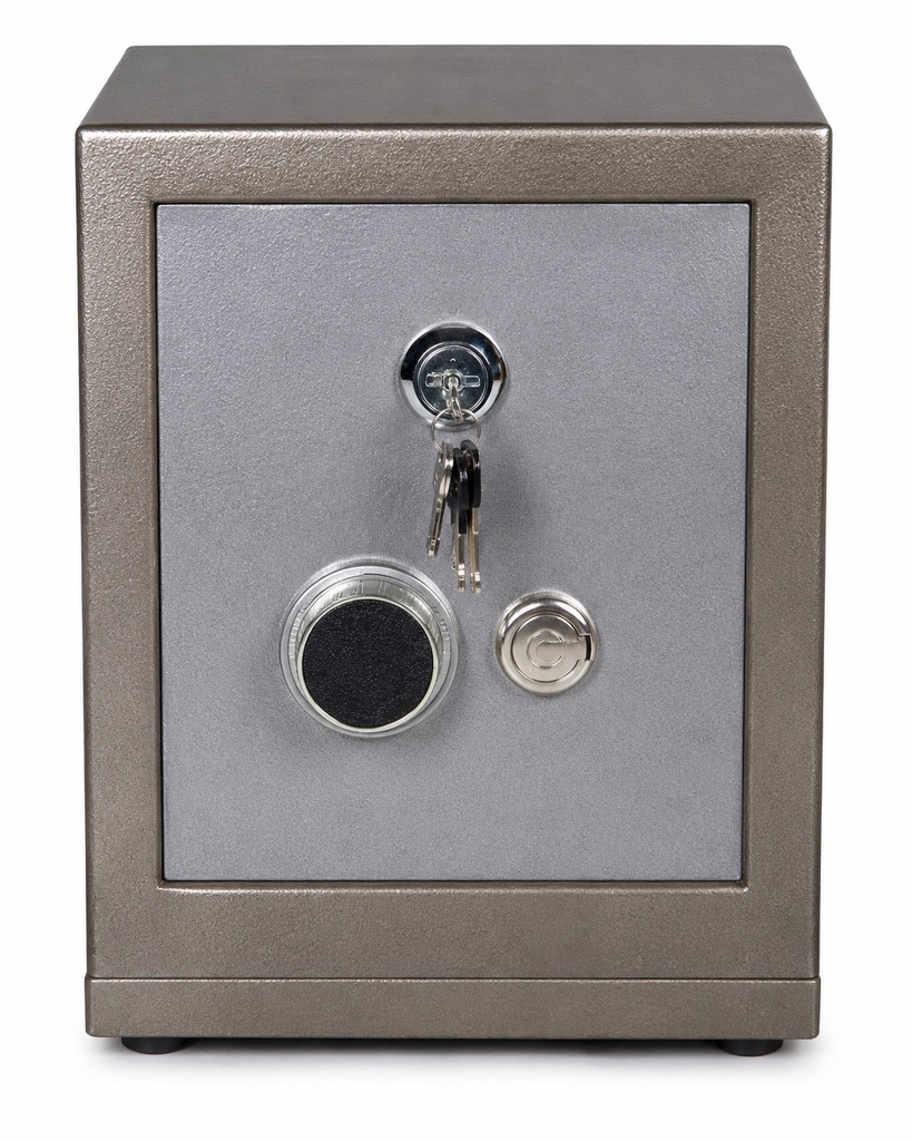 MINIMALIST METAL SAFE